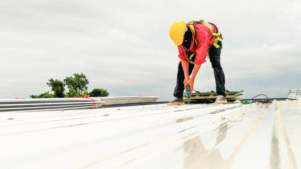 Best Roof Maintenance and Cleaning  in Elk City, OK