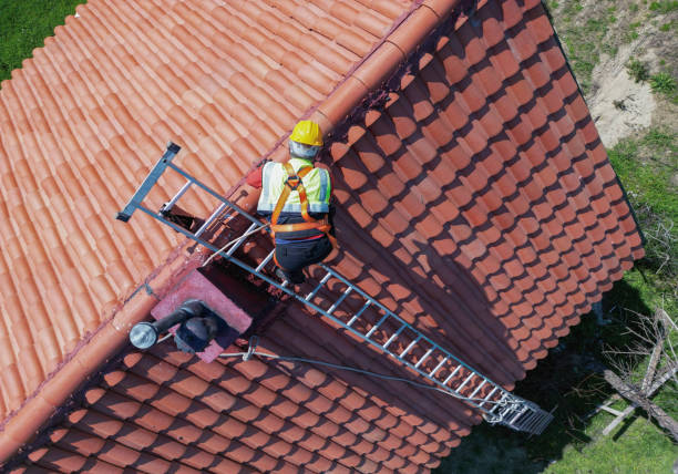 Best Roof Moss and Algae Removal  in Elk City, OK